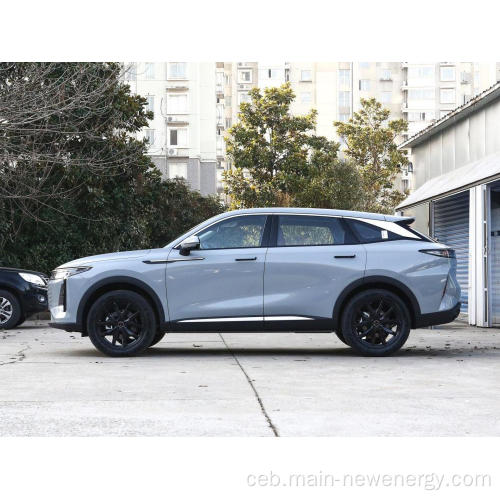 Ang Bag-ong Model Model sa China nga Xingtu Exex Auto Petrol Car nga adunay kasaligan nga presyo ug paspas nga electric car suv